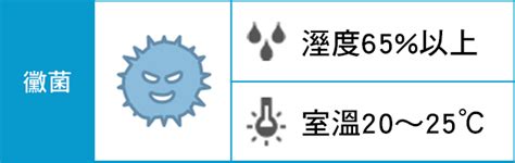 濕度 黴菌|11 種有效減輕室內黴菌過敏症狀的方法 